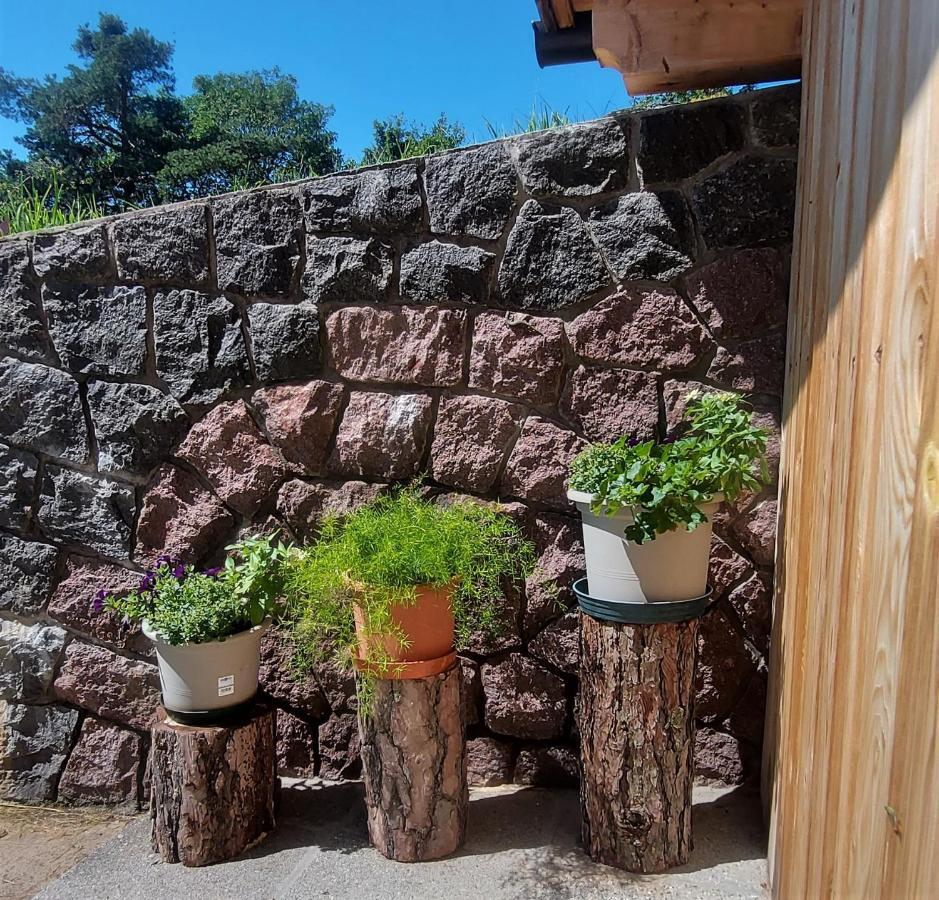 B&B Gasthaus Lieg 卡斯特尔罗托 外观 照片